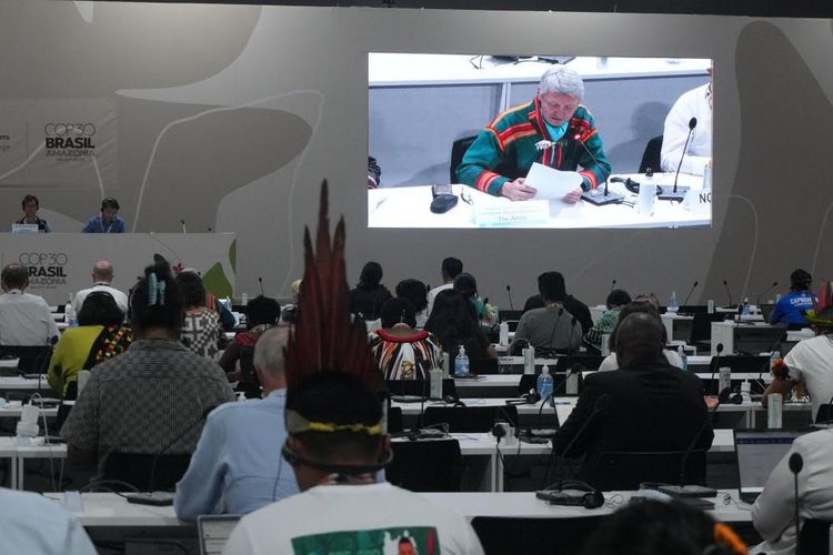 Centre for Climate Repair at COP30 in Brazil