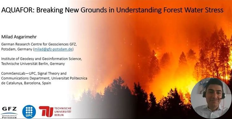 Breaking new grounds in understanding forest water stress