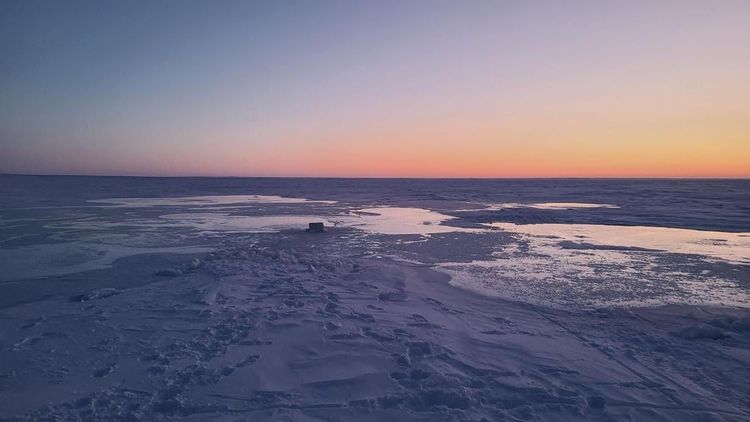 Refreeze the Arctic